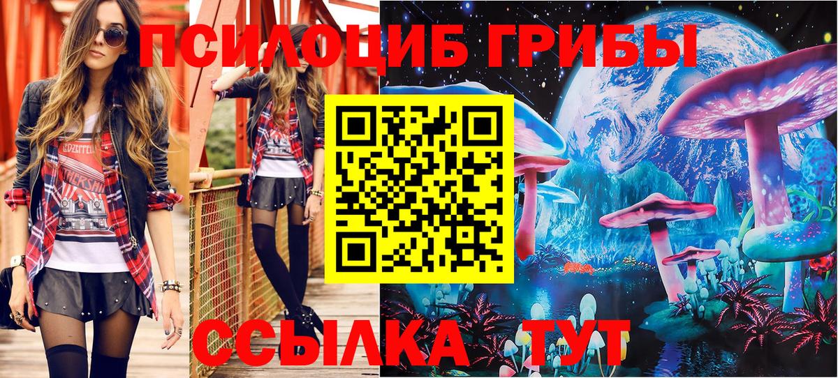 Галлюциногенные грибы Psilocybine cubensis Рыбинск