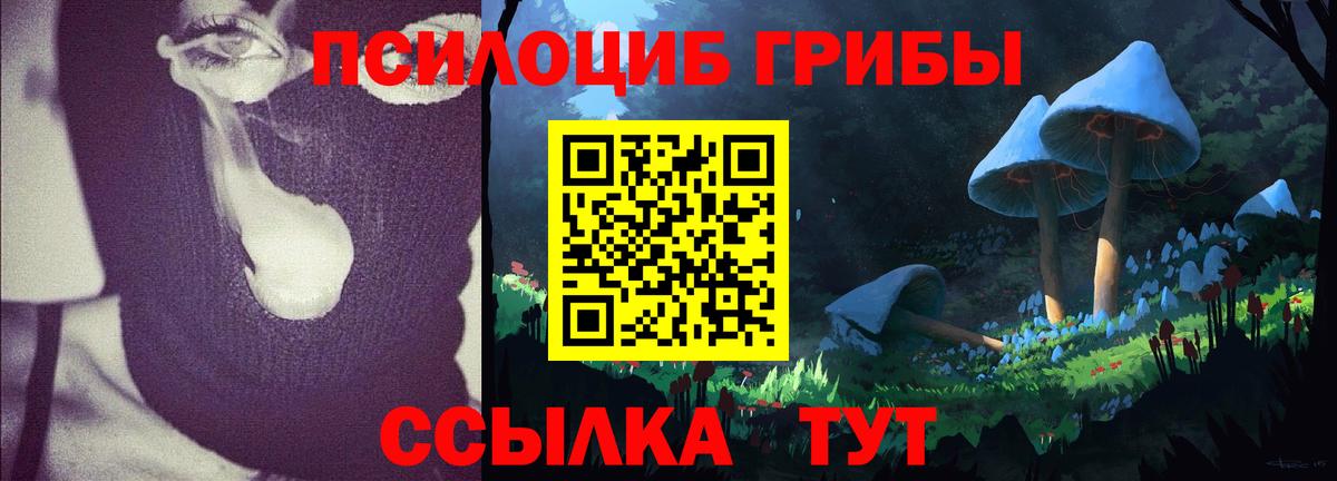 Галлюциногенные грибы MAGIC MUSHROOMS  Псилоцибиновые грибы прущие грибы  Рыбинск  Вход с VPN 